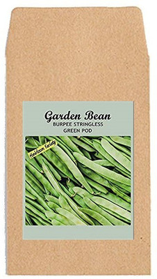 CYBEXIS Hybrid Vegetable Seeds-Garden Beans Stringless-100 Seeds Seed(100 per packet)