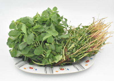 ASPEN Siru Keerai | Tropical Amaranth Seed(2000 per packet)
