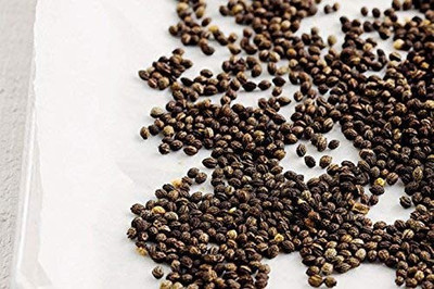 MAA Papaya, Papita Seed(70 per packet)