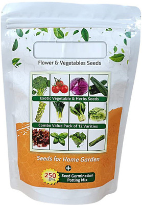 CYBEXIS Vegetables and Herb Seed(10 g)