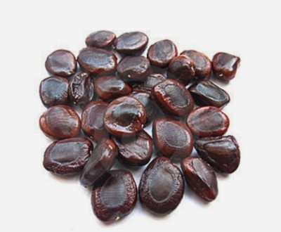 ActrovaX Guarenteed Germination Tamarind, imli or Tamarindus indica Tree [10gm Seeds] Seed(10 g)