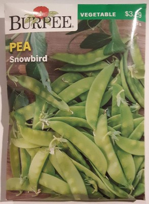 VibeX VVI-38 - Pea Snow Snowbird - (900 Seeds) Seed(900 per packet)