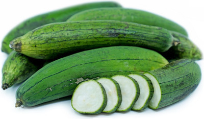 Quentova Smooth Sponge Gourd-KTK-5B Seed(50 per packet)