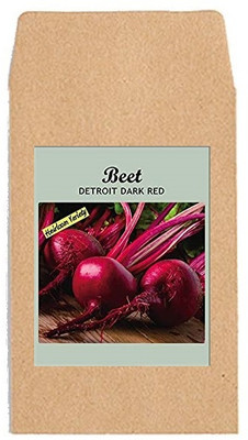 CYBEXIS Hybrid Vegetable Seeds-Beetroot Red2000 Seeds Seed(2000 per packet)
