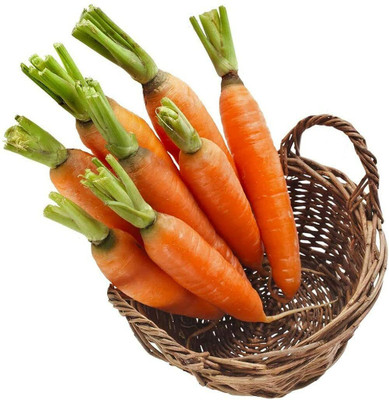 CYBEXIS Carrots Seeds Annual Quality Heirloom1000 Seeds Seed(1000 per packet)