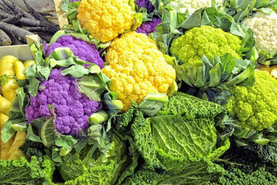 Qualtivate ICRA-8A Cauliflower Mix of 5 Varieties Seed(300 per packet)