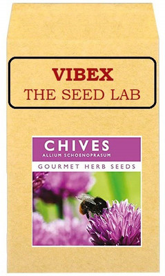 CYBEXIS Chives Hybrid 2800 Seeds Seed(2800 per packet)