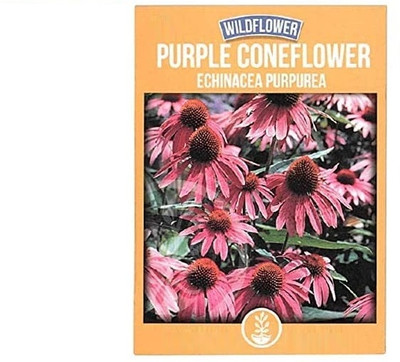 KNESSiN VXI-13 Purple Coneflower Seed(25 per packet)