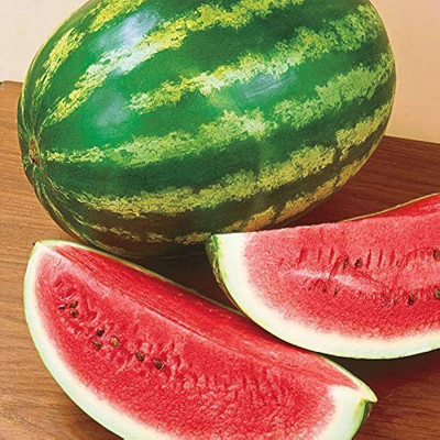 BDSresolve Watermelon seeds for farming PACK OF 79 Seed(79 per packet)