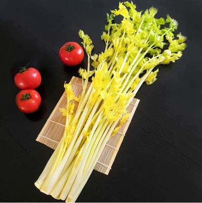 KNESSiN Celery Seed(200 per packet)