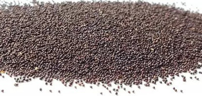 MAA Mint, Pudina, Mentha Seed(60 per packet)