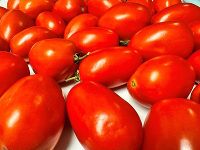Biosnyg Hybrid Roma Tomato Vegetable Seeds For Planting - (4000 Seeds) Seed(4000 per packet)