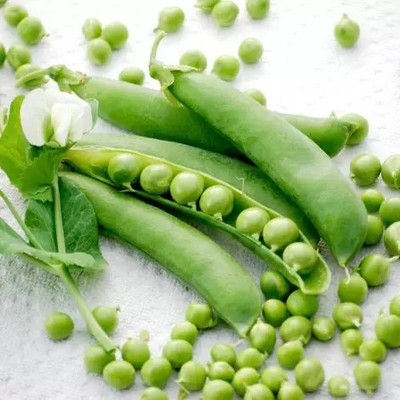 Avysa Matar Peas Organic Seed(100 per packet)