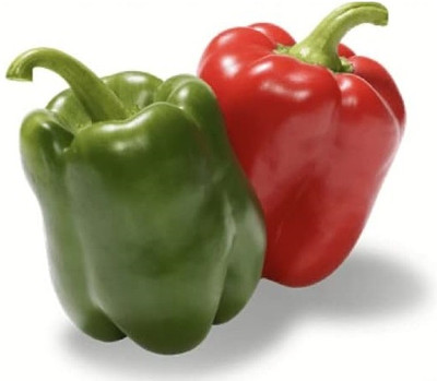 KNESSiN Heat Tolerant California Wonder Capsicum Vegetable Seeds for Garden-(400 Seeds) Seed(400 per packet)
