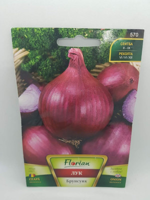 KNESSiN Brunswick Onions Seed(1250 per packet)