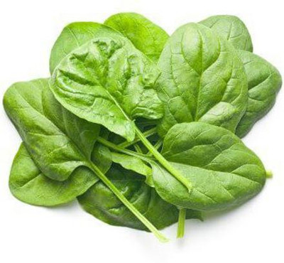 KANAYA Spinach Seed(20 per packet)