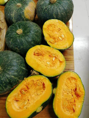 CYBEXIS PUAS-9 - Maxima Pumpkin Premium Hybrid Quality - (300 Seeds) Seed(300 per packet)