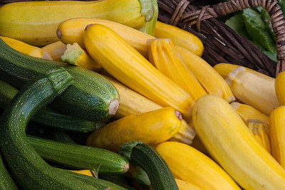 WILLVINE KGF -328 Zucchini Courgette Squash Summer Mix Seed(100 per packet)