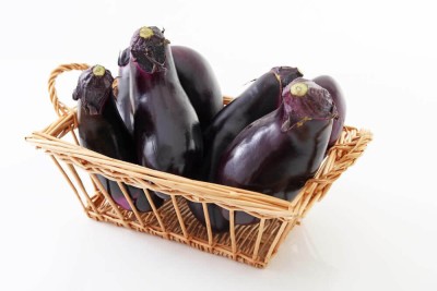 Avysa Vegetable Hybrid Brinjal Seeds for Home Garden Purple Eggplant Baby Eggplant Seed(250 per packet)