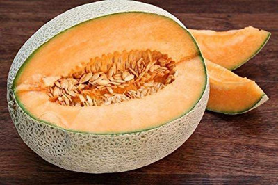 CYBEXIS VVI-21 - Jumbo Cantaloupe/Muskmelon Melon - (1350 Seeds) Seed(1350 per packet)