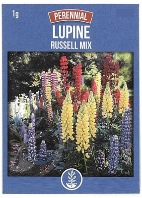 Biosnyg Lupine Russell Strain Mix[ Seed(100 per packet)