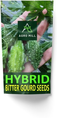 AGRO MILL HYBRID F1 PREMIUM QUALITY BITTER GOURD/KARELA SEEDS FOR HOME KITCHEN GARDEN Seed(15 per packet)