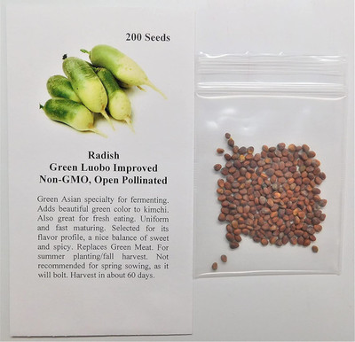 WILLVINE VVI-432 Radish Green Luobo Improved Seed(500 per packet)