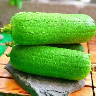 CYBEXIS Spong Gourd Loofah Seeds Short Thick800 Seeds Seed(800 per packet)