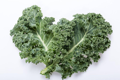 WILLVINE PUAS -XVI Kale Blue Scotch Curled Seeds [2.5g] Seed(750 per packet)