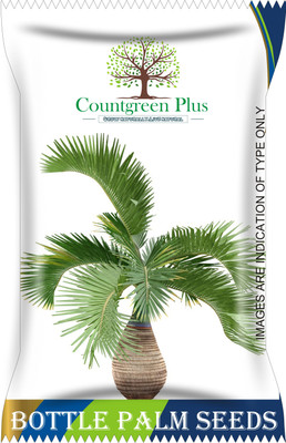 Countgreen Plus Bottle Palm Tree Seeds Seed(20 per packet)