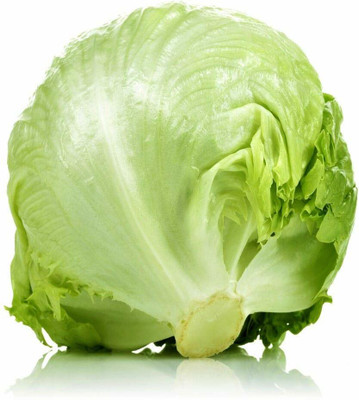 CYBEXIS Lettuce Iceberg Vegetable Seeds1000 Seeds Seed(1000 per packet)