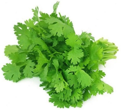 ZIXA Coriander Dhaniya Seed(2000 per packet)