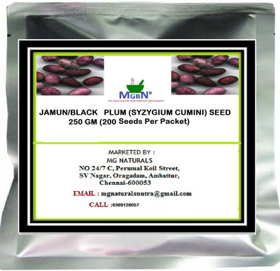 MGBN JAMUN/BLACK PLUM (SYZYGIUM CUMINI) SEED-250 GM Seed(200 per packet)