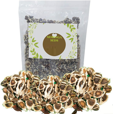 CYBEXIS VXI-87 - Moringa Drumsticks PKM Rama 117 - (150 Seeds) Seed(150 per packet)