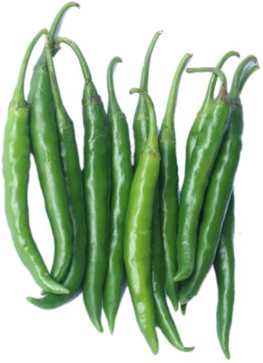 Quentova Hari Mirch / Green Chilli-11M-KTL Seed(200 per packet)