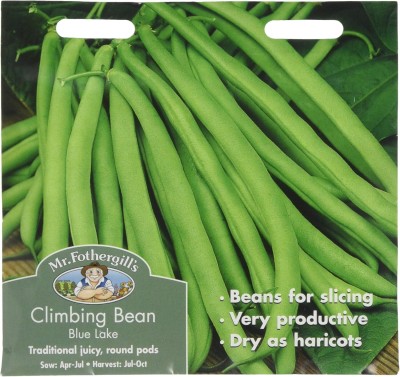 KNESSiN French Bean Blue Lake Seed(50 per packet)