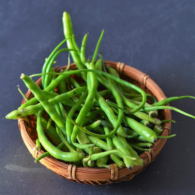 Aywal Singra Mongra Radish Bean Seed(20 per packet)