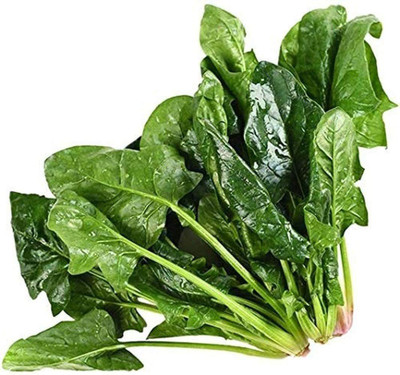 CYBEXIS Spinach Seeds Green Vegetable2000 Seeds Seed(2000 per packet)
