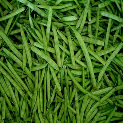 Mozette Organic clusterbeans Seed(10 per packet)