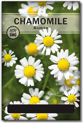VibeX VVI-55 - Chamomile Roman Chamaemelum Nobile - (2250 Seeds) Seed(2250 per packet)