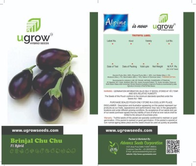 GARDENIFY INDIA MIDNIGHT MAGIC: PREMIUM BLACK CHU CHU BRINJAL SEEDS & PLANT 50 PER PACKET Seed(50 per packet)