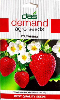 KRASHAK Strawberry Seed(2 per packet)