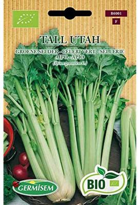 CYBEXIS Organic Tall Utah Celery Seeds2800 Seeds Seed(2800 per packet)
