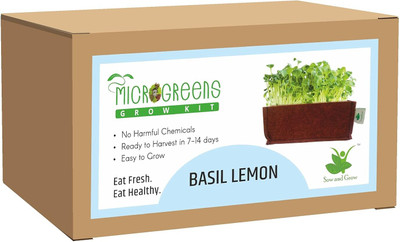 Sow and Grow Microgreens Grow Kit: Lemon Basil 20 Grams, Easy to Use Kit for Beginner Seed(1 per packet)