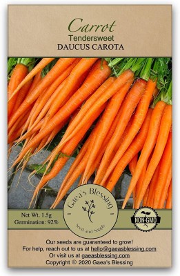 CYBEXIS LX-30 - Carrot Tendersweet - (2250 Seeds) Seed(2250 per packet)