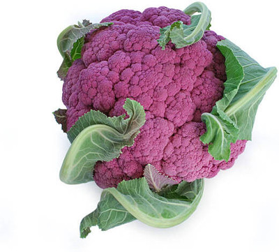 megoodluk white cauliflower,gobhee seeds Seed(40 per packet)