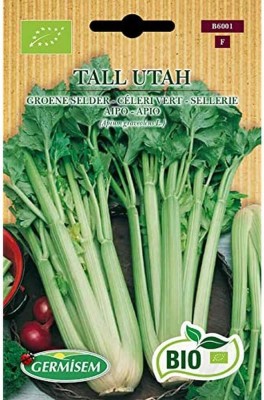 KNESSiN Tall Utah Celery Seed(1250 per packet)