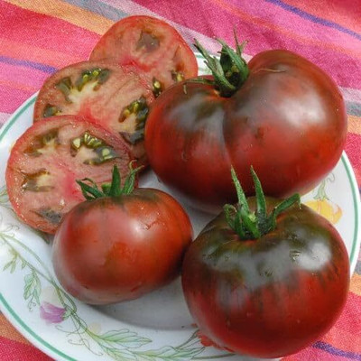 Biosnyg Fast Growing Black Prince Tomato Vegetable Seeds - (4000 Seeds) Seed(4000 per packet)