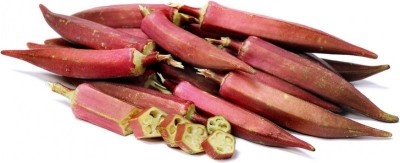 Qualtivate HYB-6A OKRA BHINDI SCARLET RED Seed(350 per packet)