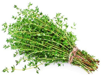 CYBEXIS THYME SEEDS800 Seeds Seed(800 per packet)